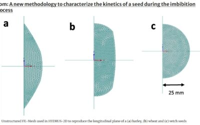 Una nueva metodología para caracterizar la cinética de una semilla durante el proceso de imbibición