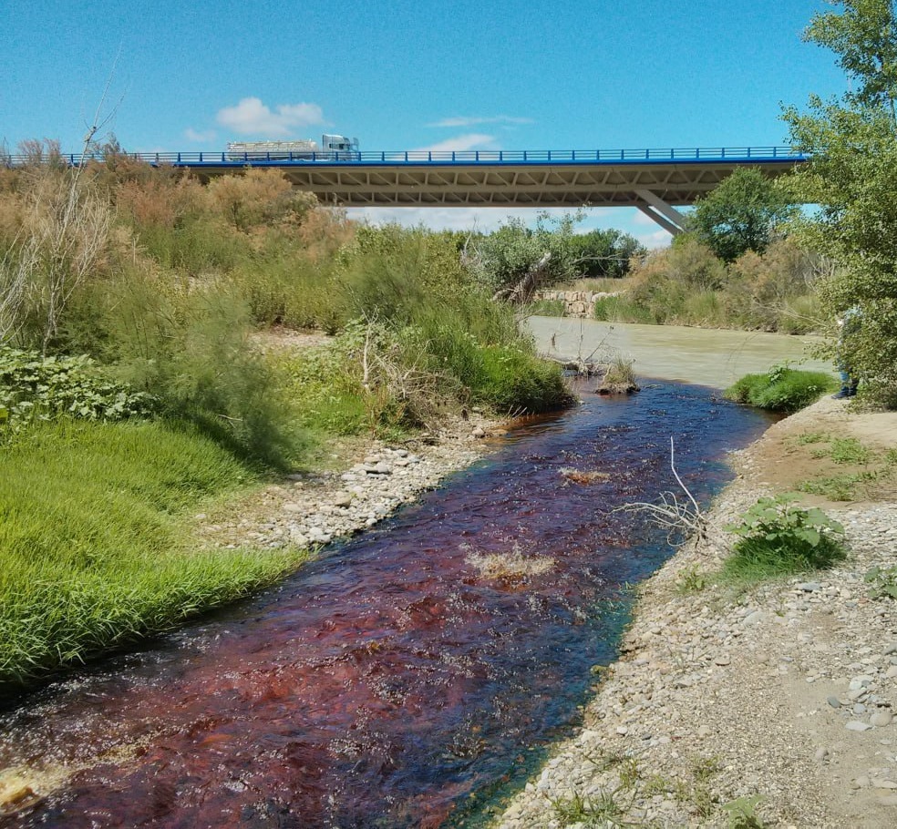 Toxicología ambiental